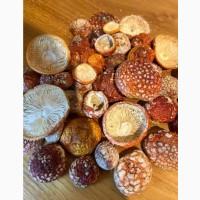 Продам червоний мухомор сушений