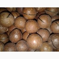 Сухофрукты, Цукаты, Орехи большой ассортимент оптом в розницу