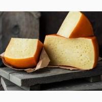 Продаємо овечі сири власного виробництва