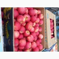 Продам Яблуко Гала