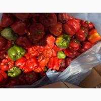 Продам перець заморожений цілий