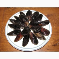 Свежемороженная печень рапаны. Мясо рапана. Черноморский Рапан. Cырая, без консервантов