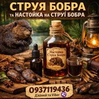 Струя бобра кастореум бобровая струя