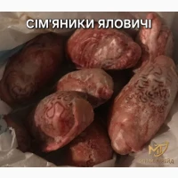 Сім’яники яловичі