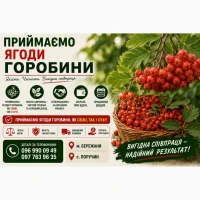 Горобина сира/суха