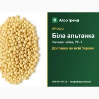Насіння: просо Біла альтанка - еліта, РН-1, від 34 400 грн/т