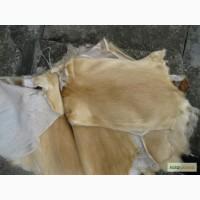 Шкуры нутрии