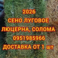 Продажа сена различных видов в тюках мешках. Привоз