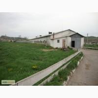 Продам комплекс по выращиванию свиней