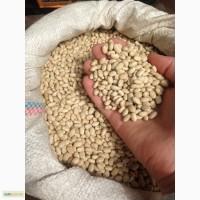 Продам рисовую фасоль, оптом
