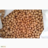 Куплю нут