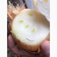Лук на перо Каратал