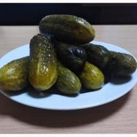 Соленые огурцы оптом