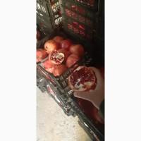 Продам гранат из Египта