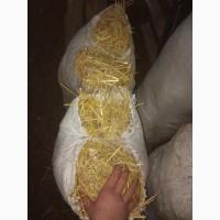 Солома тюкованная