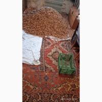 Продам грецкий орех