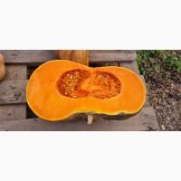 Продам тыкву ромашка Киевская обл Бровары