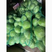 Продам капусту