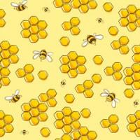 Продам восковую моль экстракт 100 мл