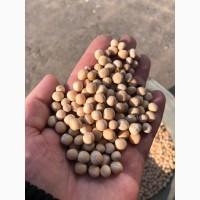 Продам горох продовольчий сортовий