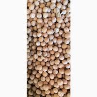 Продам горох жовтий- 500т