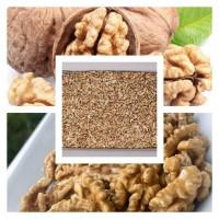 Закуповуємо ядро волоського горіха