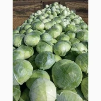 Продам борщовий набір