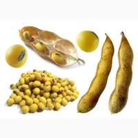 Купимо ріпак, сою, соняшник дорого