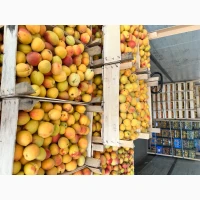 Продам абрикос на заморозку