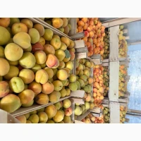 Продам абрикос на заморозку