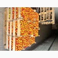 Продам абрикос на заморозку