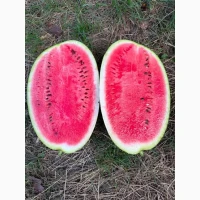 Продам кавун