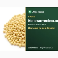 Просо Константинівське - насіння еліта, РН-1