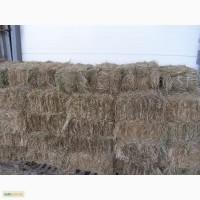 Продам Сено луговое в тюках