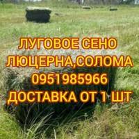 Продам луговое сено в тюках, люцерну, солому из зерновых с доставкой на дом