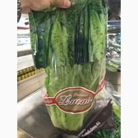 Продаем салаты