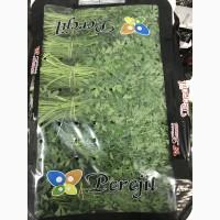 Продаем салаты