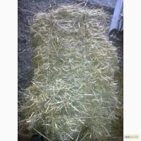 Продам солому в тюках