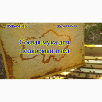 Весення подкормка пчел после облета