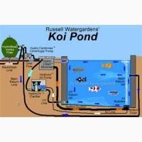 Корм для риб, корм для коі, jpd, coppens, хачування карп коі, купить корм для кои, ставквірибки