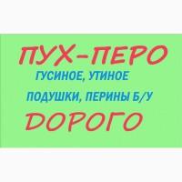 Закупаем пух-перо гуся, утки, б/у подушки, перины, семечку тыквы по договорным ценам