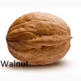 Продам грецький горіх