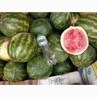 Продам Арбуз