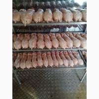 Продам мясо молодого кролика