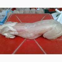 Продам мясо молодого кролика