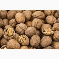 Продам ОРЕХ