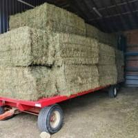 Купує сіно, та солому в великих обємах в тюках, по всій Україні