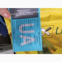 Продам насіння соняшнику Тор( Гранстар)