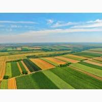 Продаж: Земельний масив 900 га. Волинська область. For sale: Land plot 900 hectares
