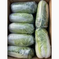 Капуста різних видів